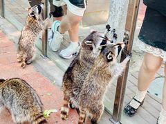 -水上乐园·欢乐世界