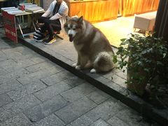 -大冰的小屋(大理古城店)