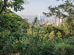-太平山顶