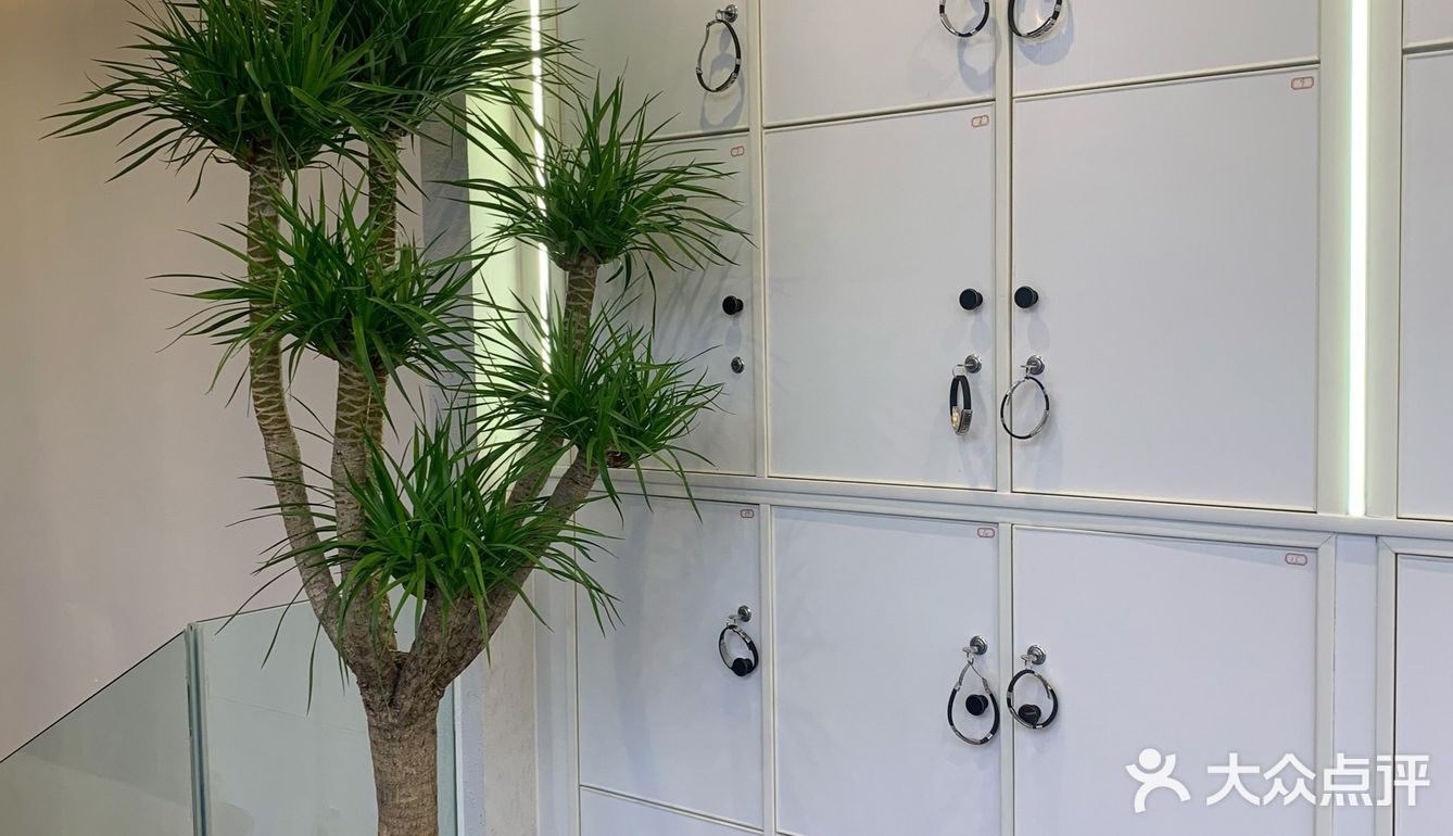 💇秋冬换个新发色|告别枯黄的发尾迎接最初的美发[加油]