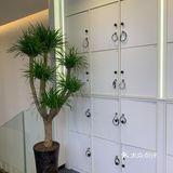 💇秋冬换个新发色|告别枯黄的发尾迎接最初的美发[加油]