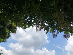 -中海环宇荟