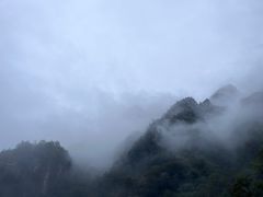 -青峰峡国家森林公园