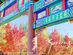 -护国法轮寺