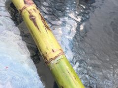 -嘉龙茶庄