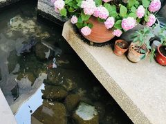 -泉乐坊步行街(烟酒特产平价超市店)