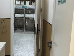 -瑞派康怡24h宠物医院·犬猫医疗中心·微创绝育(瑞景分院)