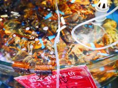 -北戴河庆山饭店·海鲜砂锅粥(北戴河黑石路店)