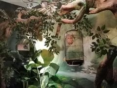 -zoonana室内动物园(东方福来德店)