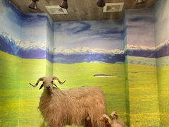 -清真·益鑫羊肉手抓馆(花园北街店)