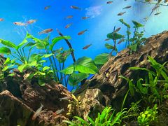 -太平洋海底世界