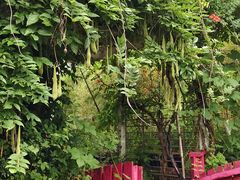 -小仙居·农家宴烤羊· 农庄