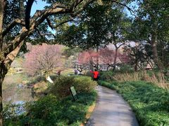 -杭州植物园