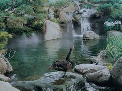 -罗红摄影艺术馆