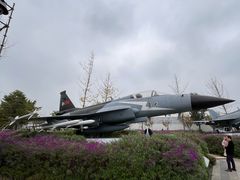 -成飞公园