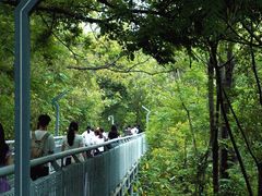 -佛山华盖山公园