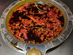-渝大狮毛肚老火锅(普陀店)