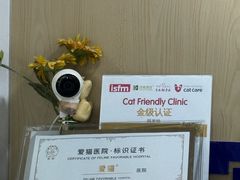 -宠颐生宠物医院·异宠猫科内科·诊疗中心宠巢店