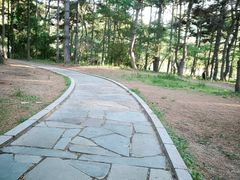 -长春市南湖公园