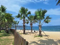 -大梅沙海滨公园
