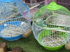 -大润发(王庄店)