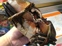 -纽顿熟食中心