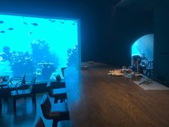 -海棠湾洲际-涛·海底餐厅·美人鱼·自助餐·海底隧道