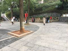-白沙古井