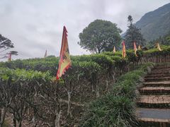 -姑婆山旅游区
