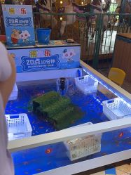 -卡通尼乐园(上海安亭店)