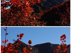 -周口店坡峰岭风景区