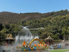 -西双版纳原始森林公园