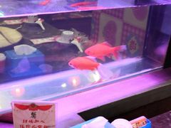 -粗粮人家·东北菜(洋桥店)