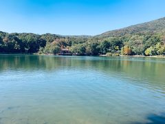 -紫霞湖公园