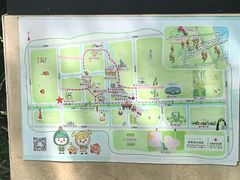 -黄海国家森林公园