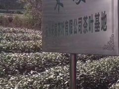 -宋宴(虎跑店)