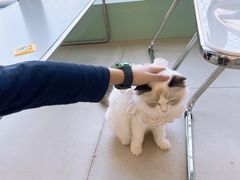 -怪兽屋·羊驼·猫咖·狗咖(俊华广场店)