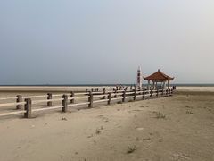 -东郊椰林