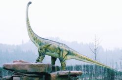 -恐龙探索乐园(磁器口店)