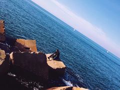 -小巴塞罗那海滩