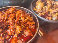 -志晖园圆子鸡·辣子鸡(阳光店)