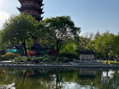 -红梅公园