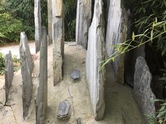 -达活泉公园