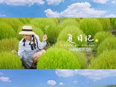 -映月湖中央公园
