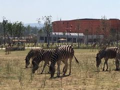 -南京金牛湖风景区