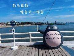 -北戴河碧螺塔海上酒吧公园