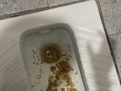 -古乐牛香·鲜牛肉牛杂火锅(千灯店)