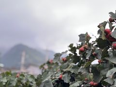 -呱呱叫民俗风味主题餐厅(沣峪口店)