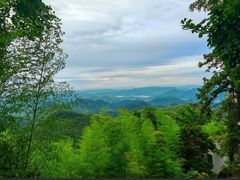 -莫干山风景区
