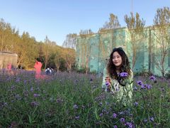 景点-沈阳植物园